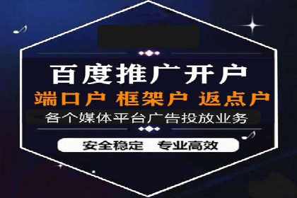 成功案例解读：SEM推广代运营策略